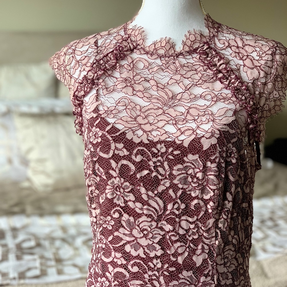 Shoshanna Lace Overlay Gown